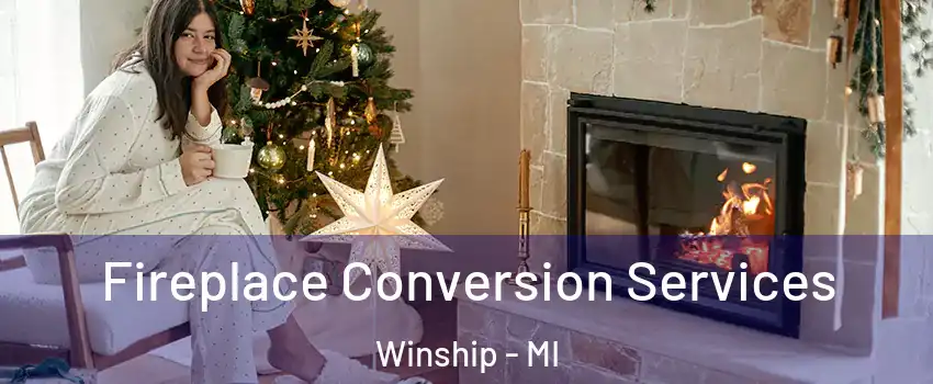 Fireplace Conversion Services Winship - MI