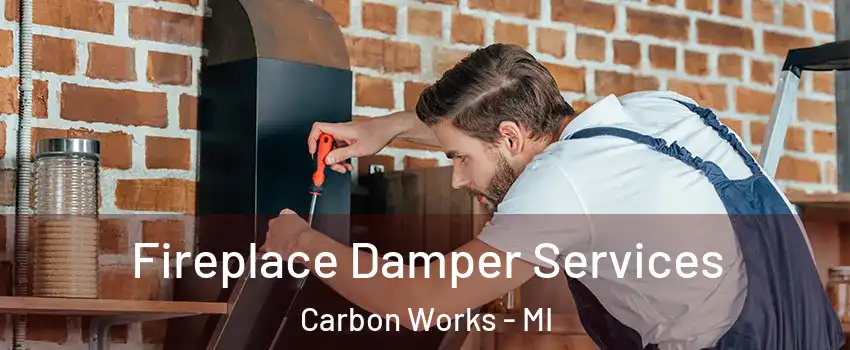 Fireplace Damper Services Carbon Works - MI