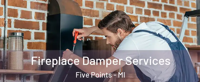 Fireplace Damper Services Five Points - MI
