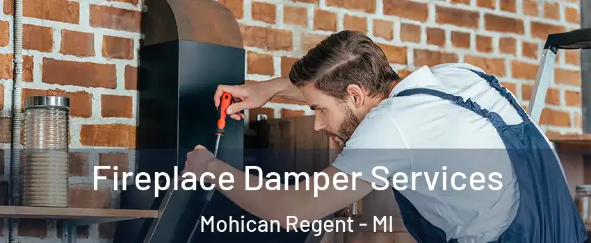 Fireplace Damper Services Mohican Regent - MI