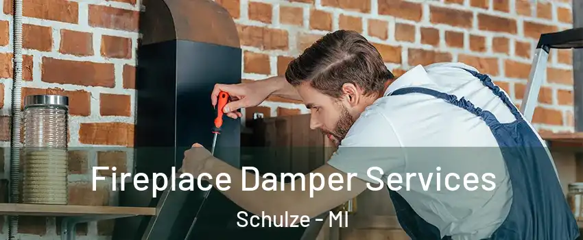 Fireplace Damper Services Schulze - MI