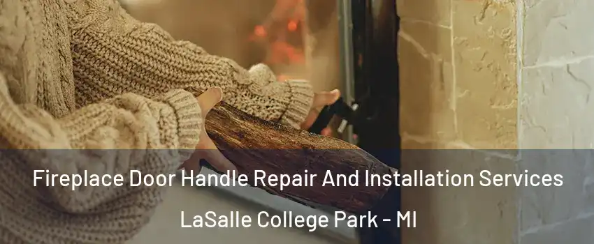 Fireplace Door Handle Repair And Installation Services LaSalle College Park - MI