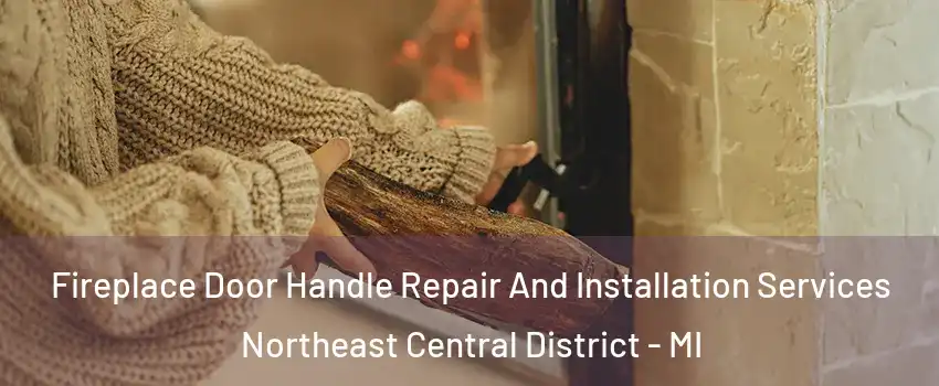 Fireplace Door Handle Repair And Installation Services Northeast Central District - MI