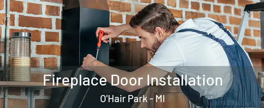 Fireplace Door Installation O'Hair Park - MI