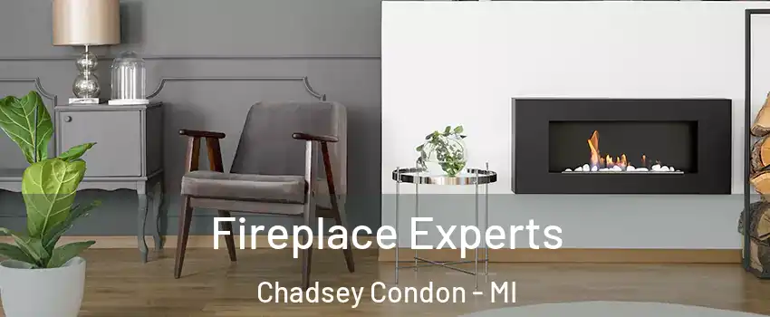 Fireplace Experts Chadsey Condon - MI