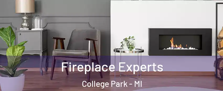 Fireplace Experts College Park - MI