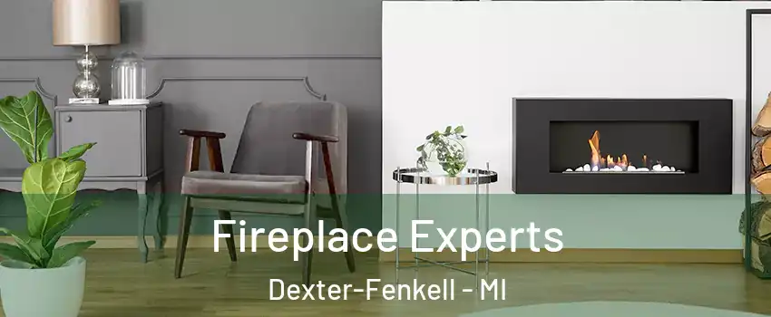 Fireplace Experts Dexter-Fenkell - MI