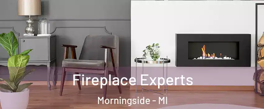 Fireplace Experts Morningside - MI