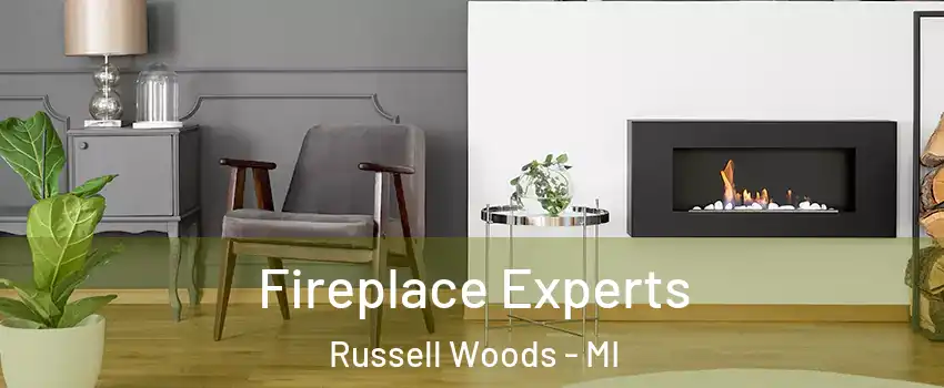Fireplace Experts Russell Woods - MI