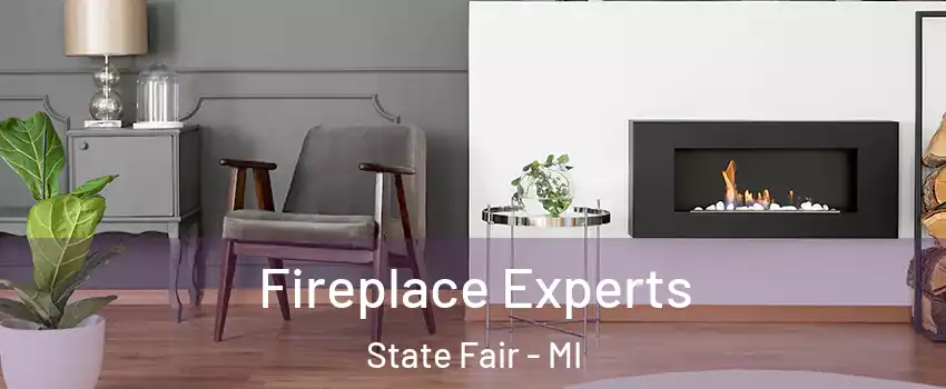 Fireplace Experts State Fair - MI