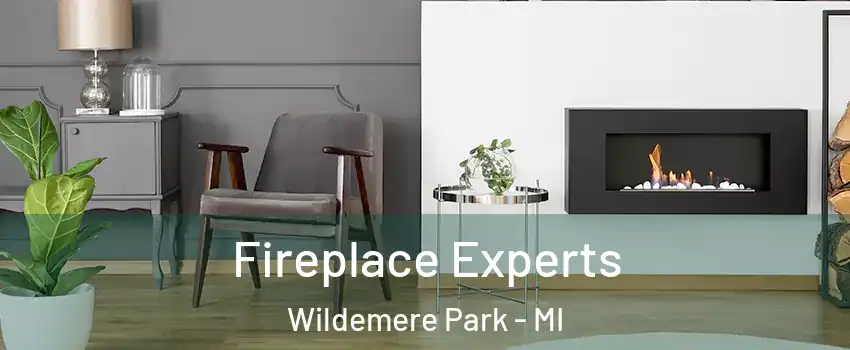 Fireplace Experts Wildemere Park - MI