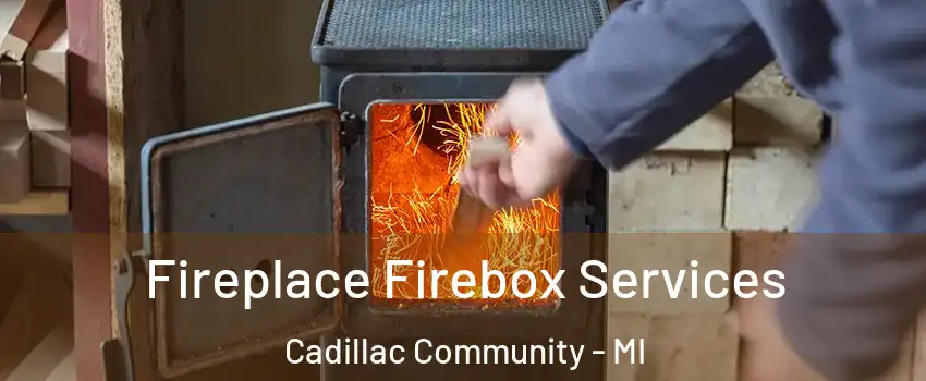 Fireplace Firebox Services Cadillac Community - MI