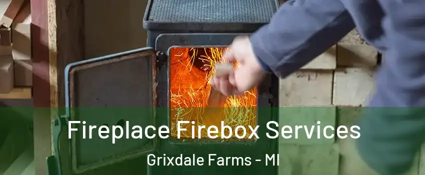 Fireplace Firebox Services Grixdale Farms - MI