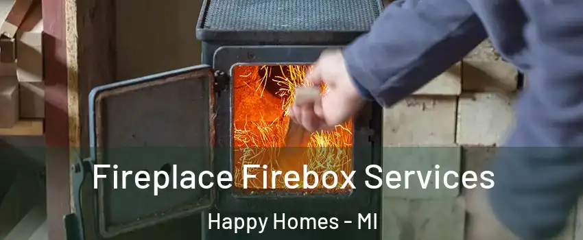 Fireplace Firebox Services Happy Homes - MI