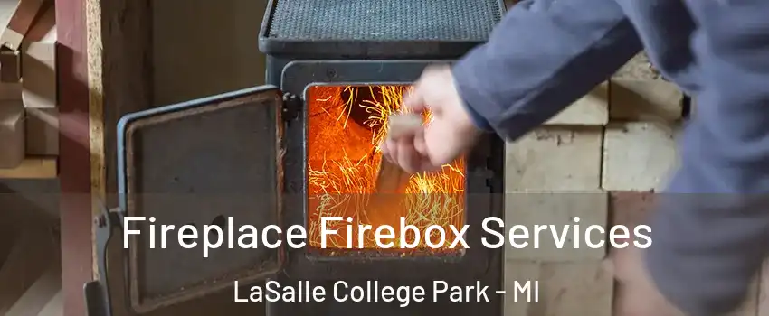 Fireplace Firebox Services LaSalle College Park - MI