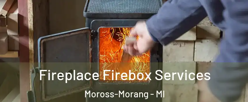 Fireplace Firebox Services Moross-Morang - MI