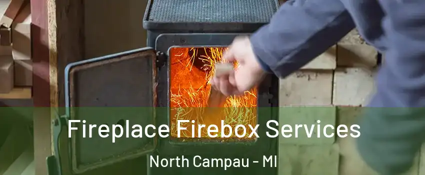 Fireplace Firebox Services North Campau - MI