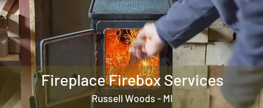 Fireplace Firebox Services Russell Woods - MI
