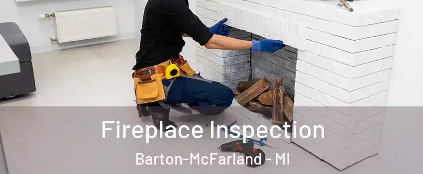 Fireplace Inspection Barton-McFarland - MI