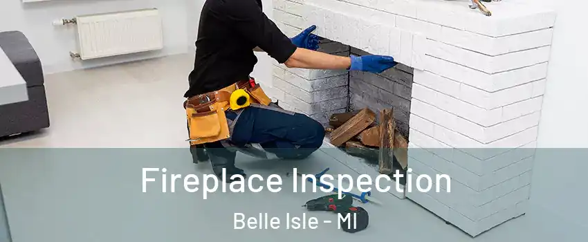 Fireplace Inspection Belle Isle - MI
