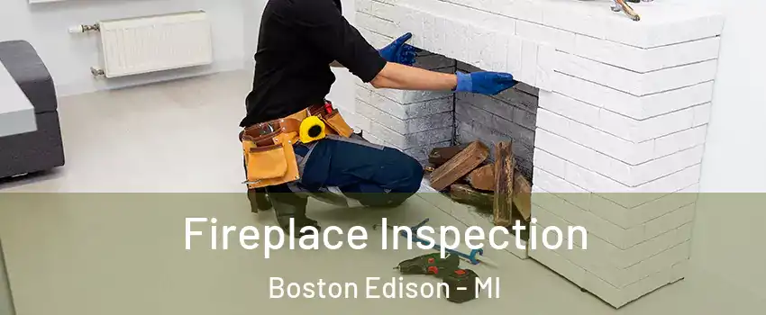 Fireplace Inspection Boston Edison - MI