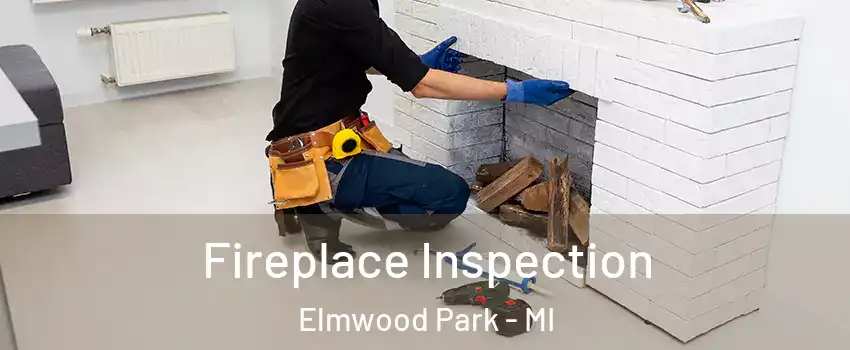 Fireplace Inspection Elmwood Park - MI