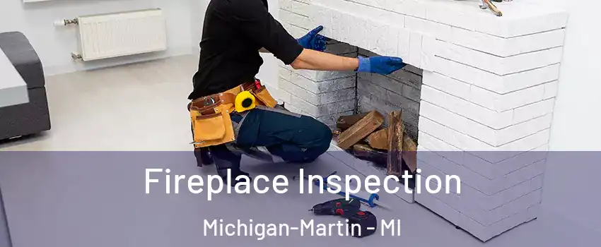 Fireplace Inspection Michigan-Martin - MI