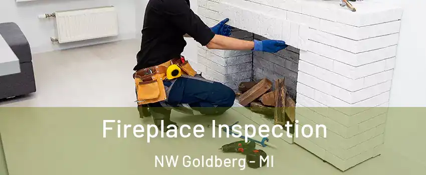 Fireplace Inspection NW Goldberg - MI