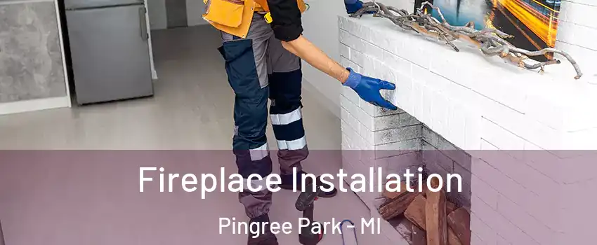 Fireplace Installation Pingree Park - MI