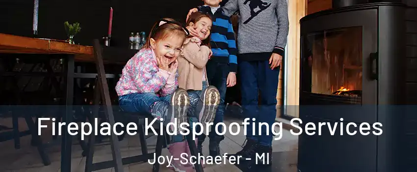 Fireplace Kidsproofing Services Joy-Schaefer - MI
