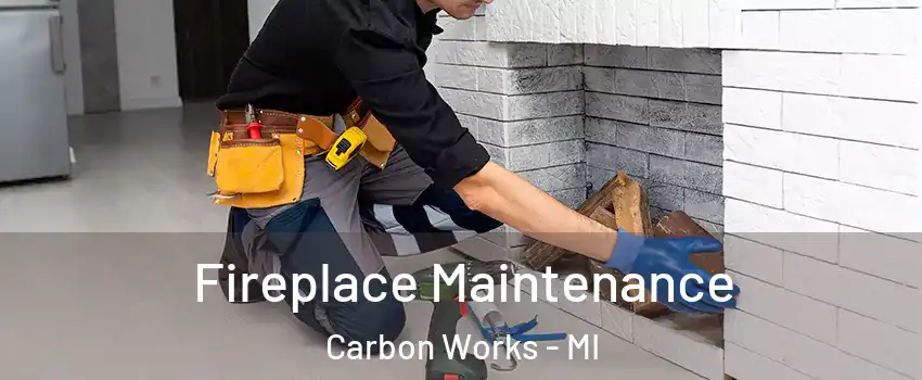 Fireplace Maintenance Carbon Works - MI