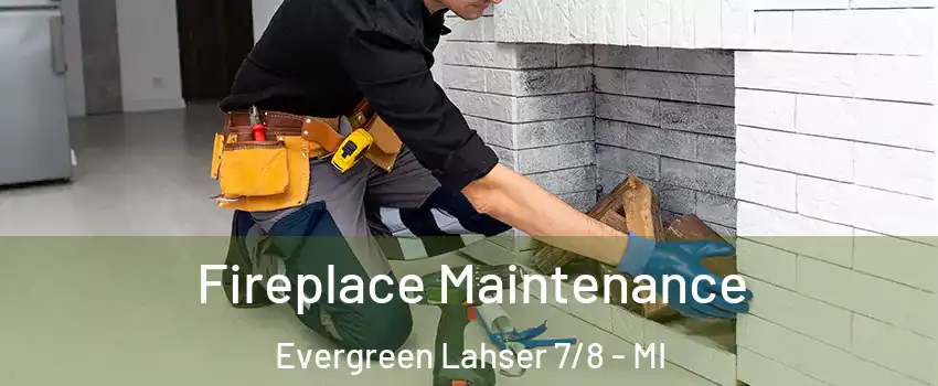 Fireplace Maintenance Evergreen Lahser 7/8 - MI