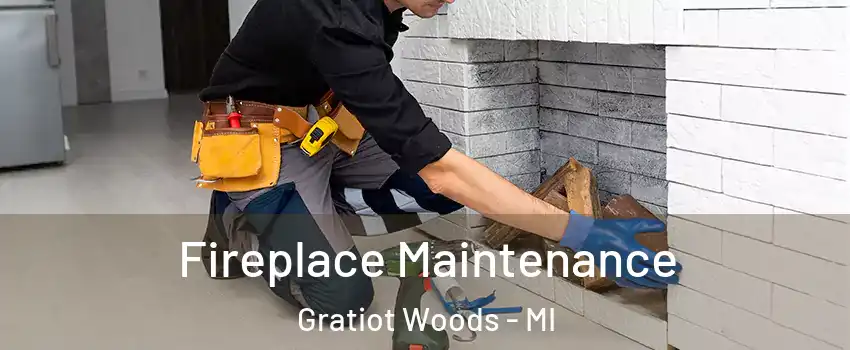 Fireplace Maintenance Gratiot Woods - MI