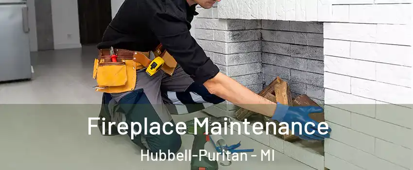 Fireplace Maintenance Hubbell-Puritan - MI