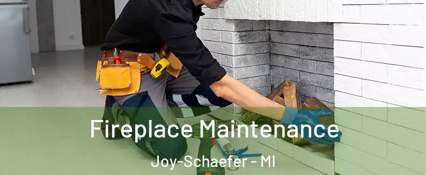 Fireplace Maintenance Joy-Schaefer - MI