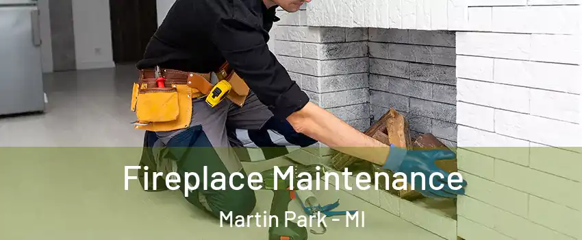 Fireplace Maintenance Martin Park - MI