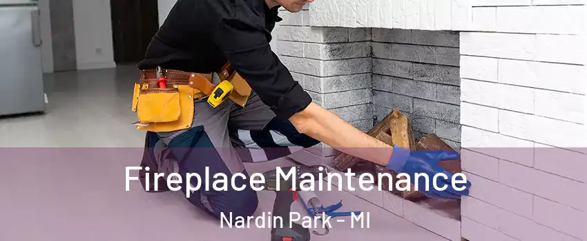 Fireplace Maintenance Nardin Park - MI
