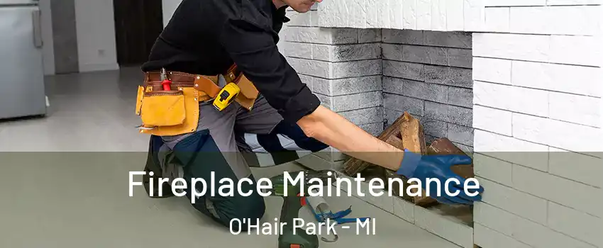 Fireplace Maintenance O'Hair Park - MI