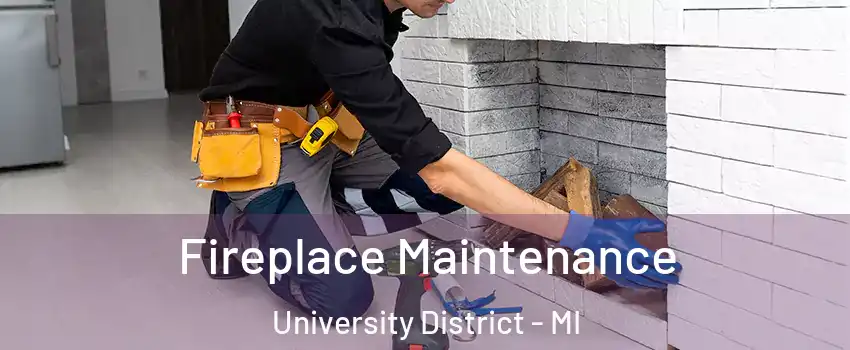 Fireplace Maintenance University District - MI