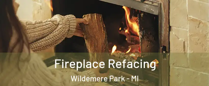 Fireplace Refacing Wildemere Park - MI