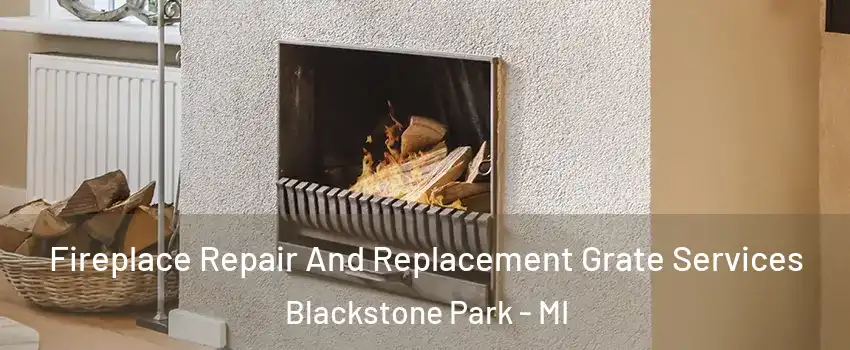 Fireplace Repair And Replacement Grate Services Blackstone Park - MI