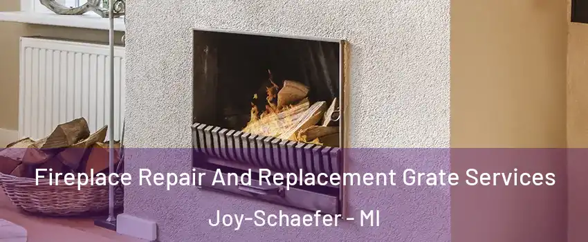 Fireplace Repair And Replacement Grate Services Joy-Schaefer - MI