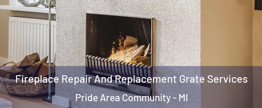 Fireplace Repair And Replacement Grate Services Pride Area Community - MI