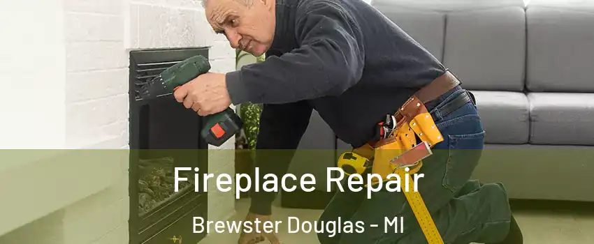 Fireplace Repair Brewster Douglas - MI