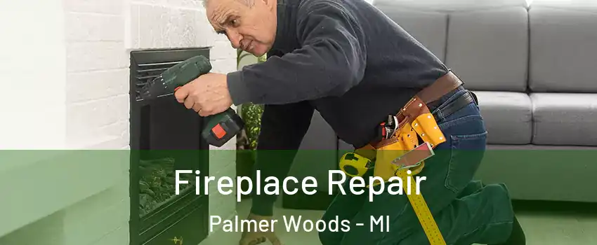 Fireplace Repair Palmer Woods - MI
