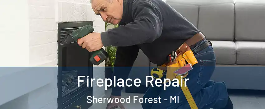 Fireplace Repair Sherwood Forest - MI