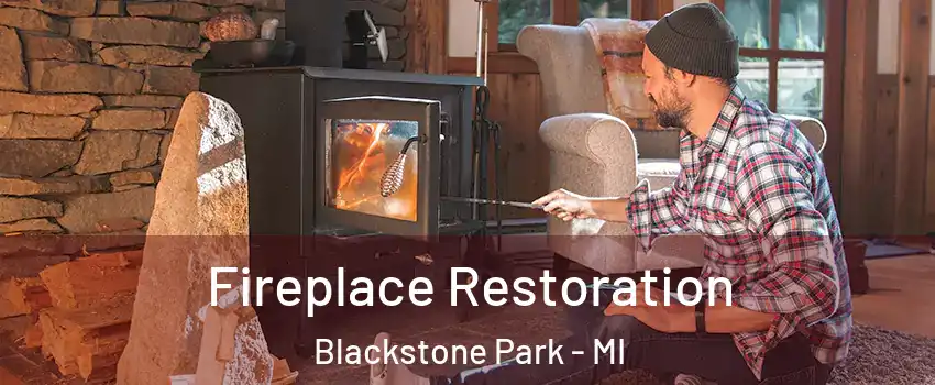 Fireplace Restoration Blackstone Park - MI