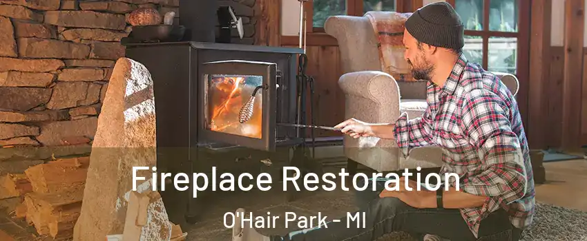 Fireplace Restoration O'Hair Park - MI