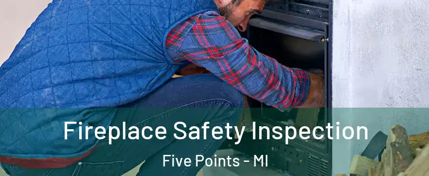 Fireplace Safety Inspection Five Points - MI