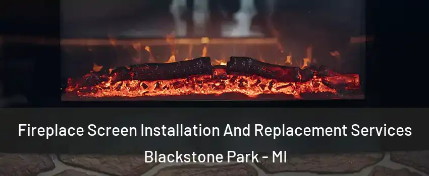 Fireplace Screen Installation And Replacement Services Blackstone Park - MI
